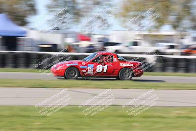 media/Mar-16-2024-CalClub SCCA (Sat) [[de271006c6]]/Group 6/Race/